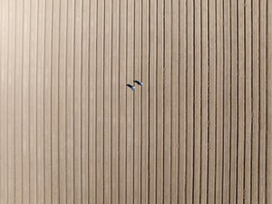 BENNETT3.11.26Drone-10 (1)