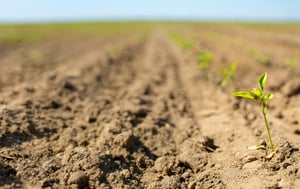 plant health-hero-background-1
